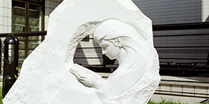 学校概况