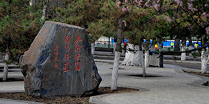 学院设置